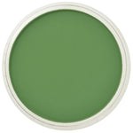 PAN PASTEL ARTISTS' PASTEL 660.5 CHROMIUM OXIDE GREEN