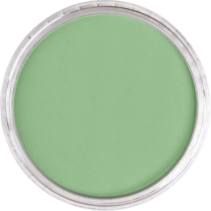 Pan Pastel Artists' Pastel 660.7 Chromium Oxide Green Light