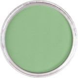 Pan Pastel Artists' Pastel 660.7 Chromium Oxide Green Light
