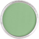 Pan Pastel Artists' Pastel 660.3 Chromium Oxide Green Light