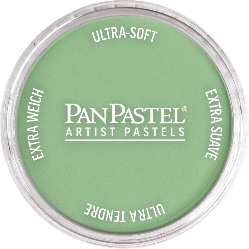 Pan Pastel Artists' Pastel 660.3 Chromium Oxide Green Light