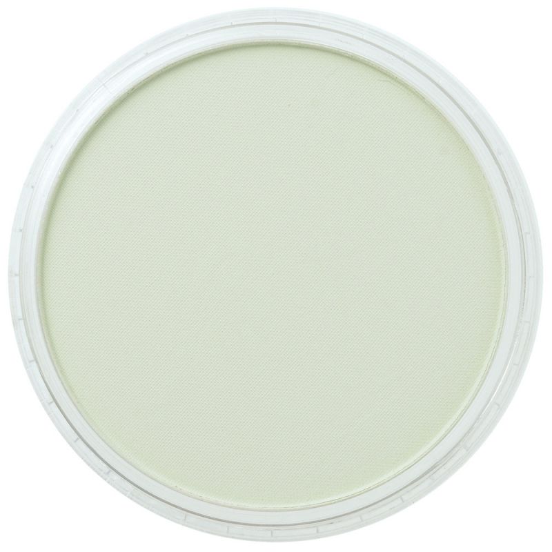 Pan Pastel Artists' Pastel 660.8 Chromium Oxide Green Tint
