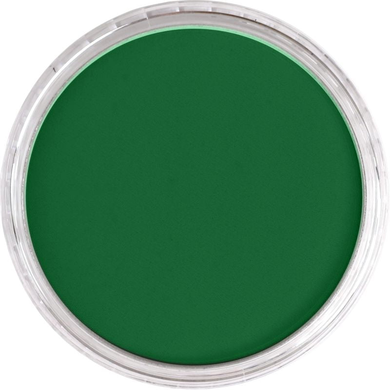 PAN PASTEL ARTISTS' PASTEL 670.3 BLUE GREEN SHADE