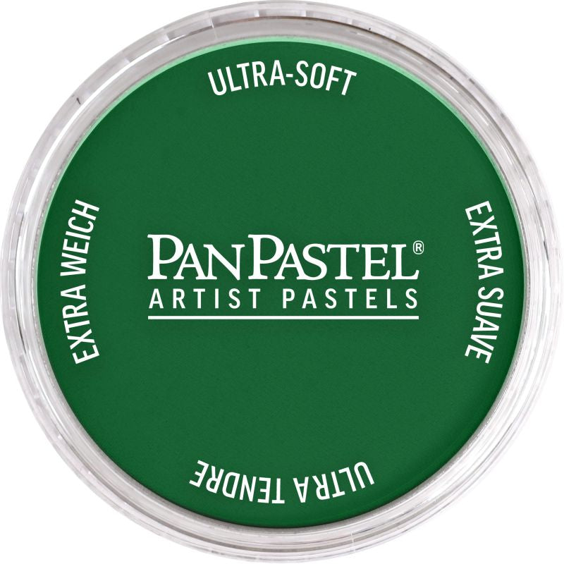 PAN PASTEL ARTISTS' PASTEL 670.3 BLUE GREEN SHADE