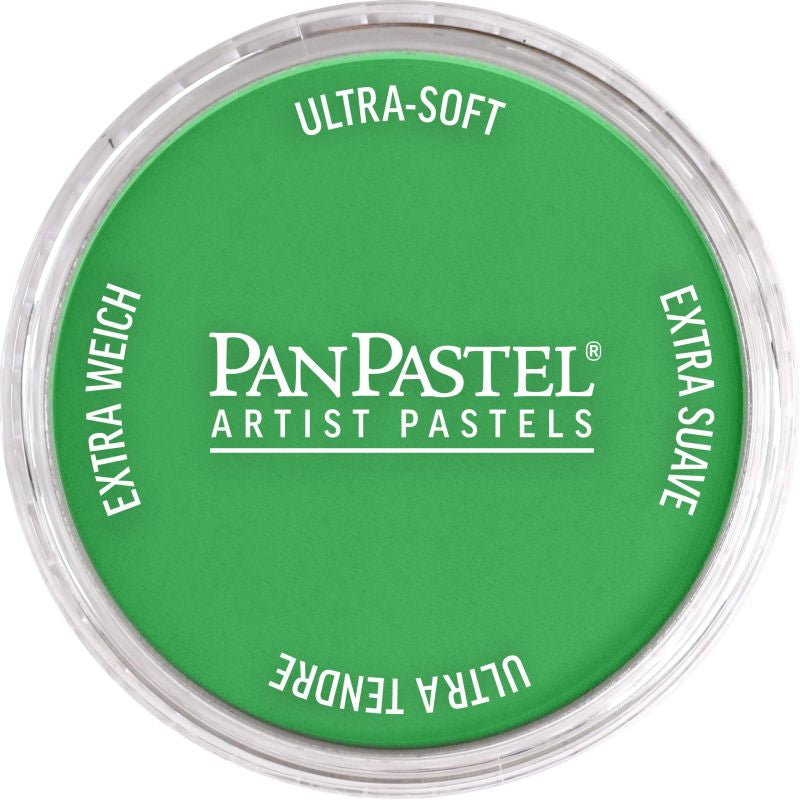 Pan Pastel Artists' Pastel 670.5 Blue Green