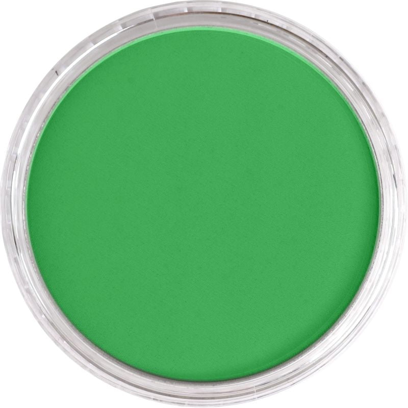 PAN PASTEL ARTISTS' PASTEL 670.5 BLUE GREEN