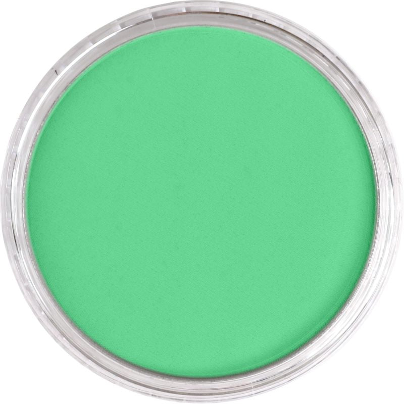 PAN PASTEL ARTISTS' PASTEL 670.7 BLUE GREEN LIGHT