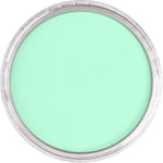 Pan Pastel Artists' Pastel 670.8 Blue Green Tint