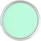 Pan Pastel Artists' Pastel 670.8 Blue Green Tint