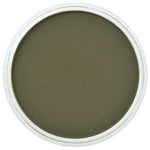 PAN PASTEL ARTISTS' PASTEL 680.1 BRIGHT YELLOW GREEN EXTRA DARK