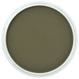 Pan Pastel Artists' Pastel 680.1 Bright Yellow Green Extra Dark