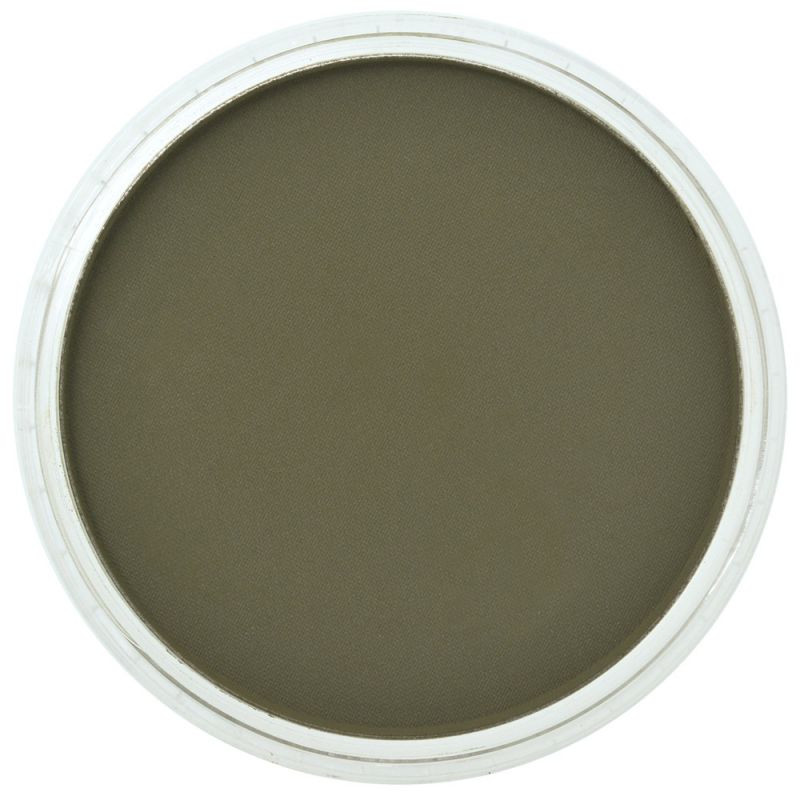 Pan Pastel Artists' Pastel 680.1 Bright Yellow Green Extra Dark