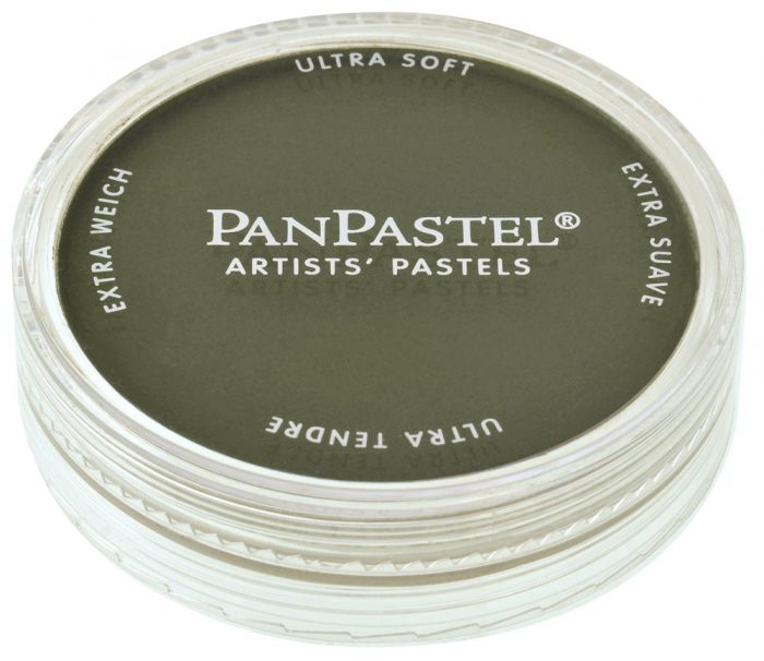 PAN PASTEL ARTISTS' PASTEL 680.1 BRIGHT YELLOW GREEN EXTRA DARK