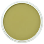 PAN PASTEL ARTISTS' PASTEL 680.3 BRIGHT YELLOW GREEN SHADE