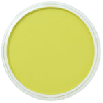 Pan Pastel Artists' Pastel 680.5 Bright Yellow Green