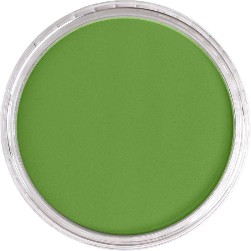 PAN PASTEL ARTISTS' PASTEL 690.3 YELLOW GREEN SHADE