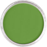 PAN PASTEL ARTISTS' PASTEL 690.3 YELLOW GREEN SHADE