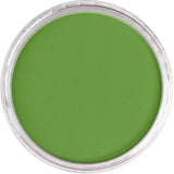 Pan Pastel Artists' Pastel 690.3 Yellow Green Shade