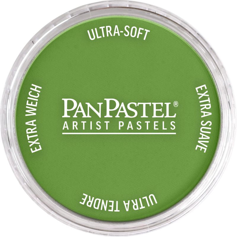 PAN PASTEL ARTISTS' PASTEL 690.3 YELLOW GREEN SHADE