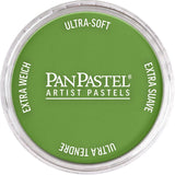 Pan Pastel Artists' Pastel 690.3 Yellow Green Shade