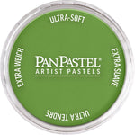 PAN PASTEL ARTISTS' PASTEL 690.3 YELLOW GREEN SHADE