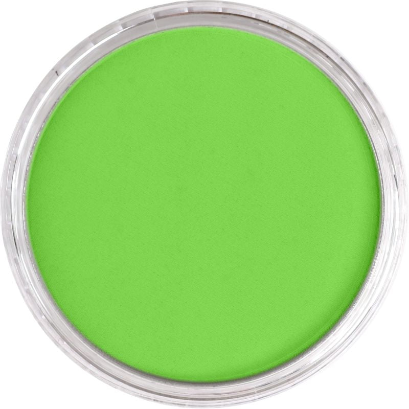 PAN PASTEL ARTISTS' PASTEL 690.5 YELLOW GREEN