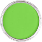 Pan Pastel Artists' Pastel 690.5 Yellow Green