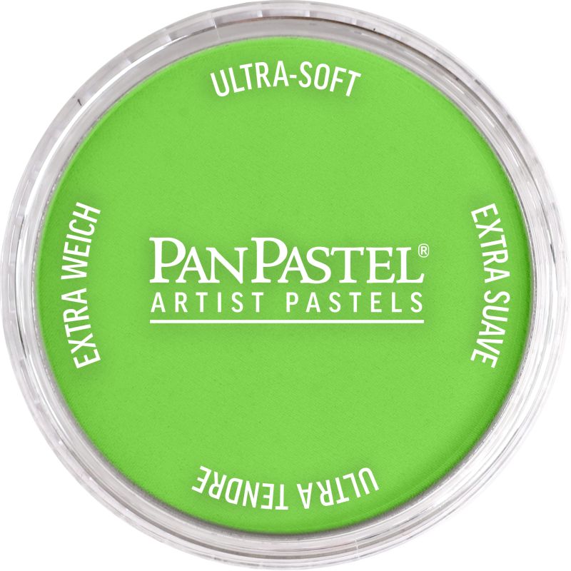 Pan Pastel Artists' Pastel 690.5 Yellow Green