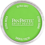Pan Pastel Artists' Pastel 690.5 Yellow Green
