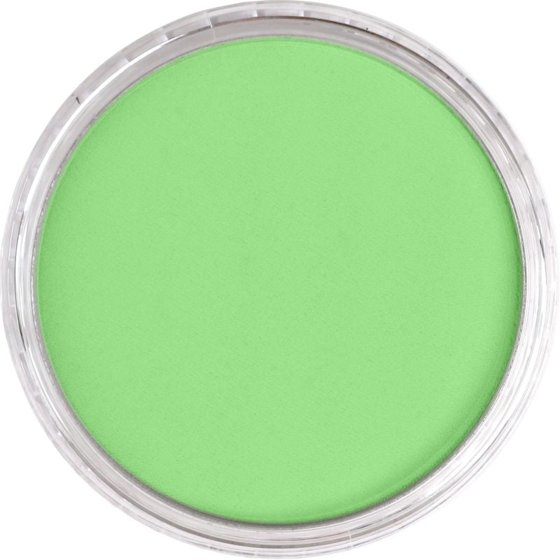 PAN PASTEL ARTISTS' PASTEL 690.7 YELLOW GREEN LIGHT