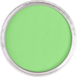 Pan Pastel Artists' Pastel 690.7 Yellow Green Light