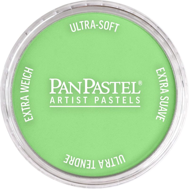PAN PASTEL ARTISTS' PASTEL 690.7 YELLOW GREEN LIGHT