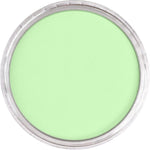 Pan Pastel Artists' Pastel 690.8 Yellow Green Tint