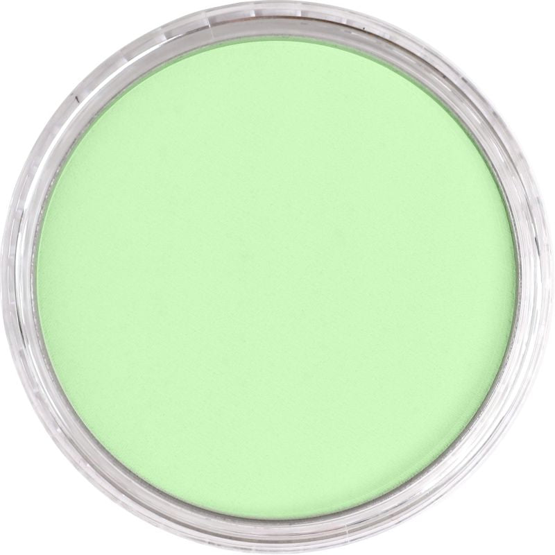 Pan Pastel Artists' Pastel 690.8 Yellow Green Tint