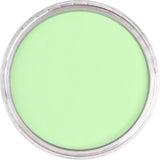 Pan Pastel Artists' Pastel 690.8 Yellow Green Tint