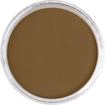 PAN PASTEL ARTISTS' PASTEL 710.1 RAW SIENNA EXTRA DARK