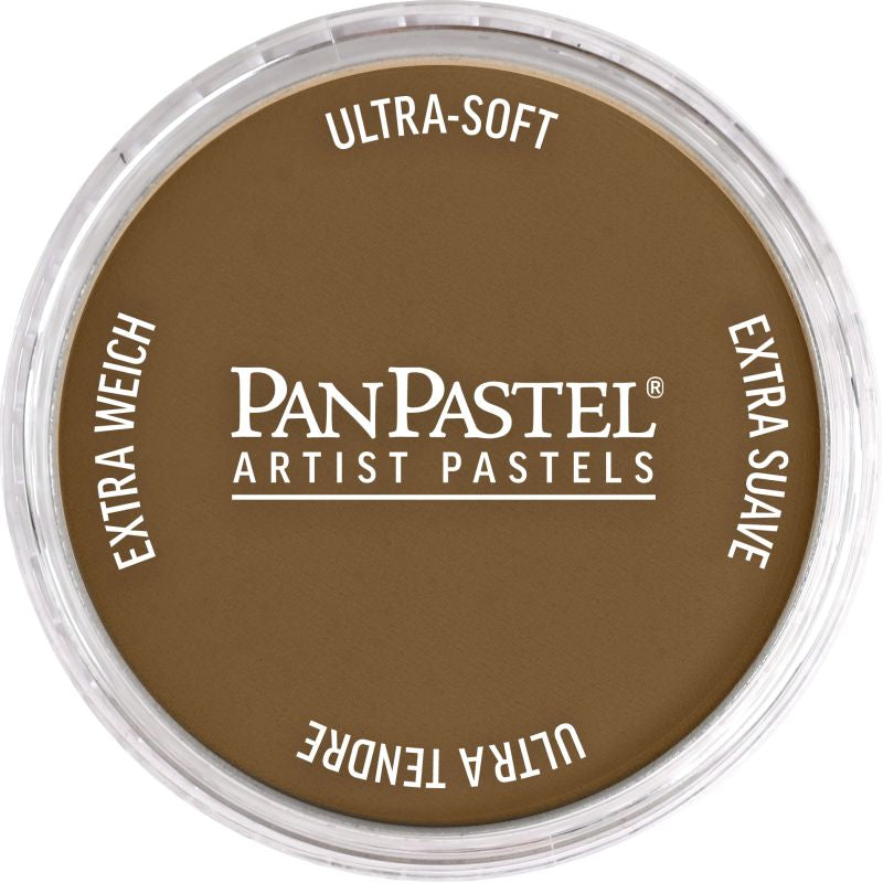 PAN PASTEL ARTISTS' PASTEL 710.1 RAW SIENNA EXTRA DARK