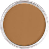 Pan Pastel Artists' Pastel 710.3 Raw Sienna Shade