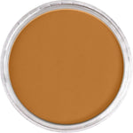 Pan Pastel Artists' Pastel 710.5 Raw Sienna