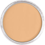 PAN PASTEL ARTISTS' PASTEL 710.7 RAW SIENNA LIGHT