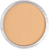 Pan Pastel Artists' Pastel 710.7 Raw Sienna Light