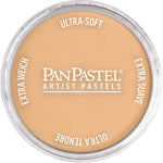 PAN PASTEL ARTISTS' PASTEL 710.7 RAW SIENNA LIGHT