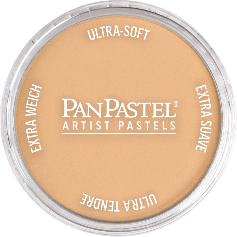 PAN PASTEL ARTISTS' PASTEL 710.7 RAW SIENNA LIGHT