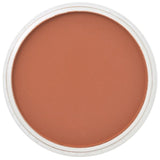 Pan Pastel Artists' Pastel 740.5 Burnt Sienna