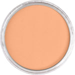 PAN PASTEL ARTISTS' PASTEL 740.7 BURNT SIENNA LIGHT