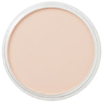 PAN PASTEL ARTISTS' PASTEL 740.8 BURNT SIENNA TINT