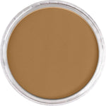 PAN PASTEL ARTISTS' PASTEL 760.6 BURNT UMBER MEDIUM