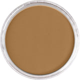 Pan Pastel Artists' Pastel 760.6 Burnt Umber Medium