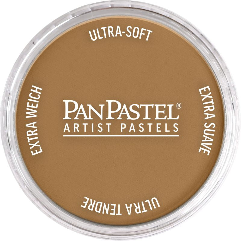 PAN PASTEL ARTISTS' PASTEL 760.6 BURNT UMBER MEDIUM