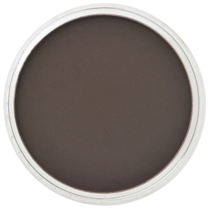 Pan Pastel Artists' Pastel 780.1 Raw Umber Extra Dark